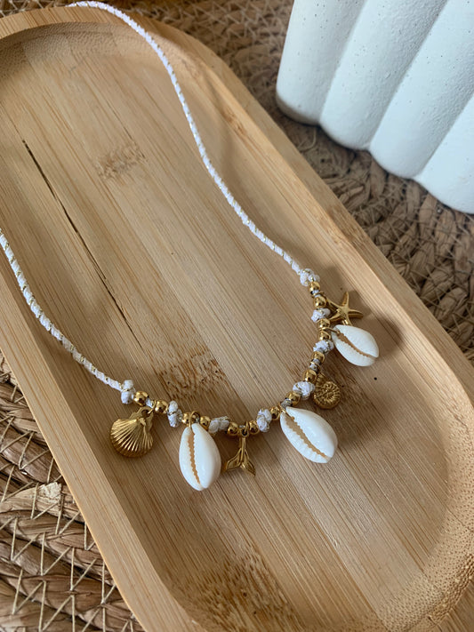 COLLIER OCEAN